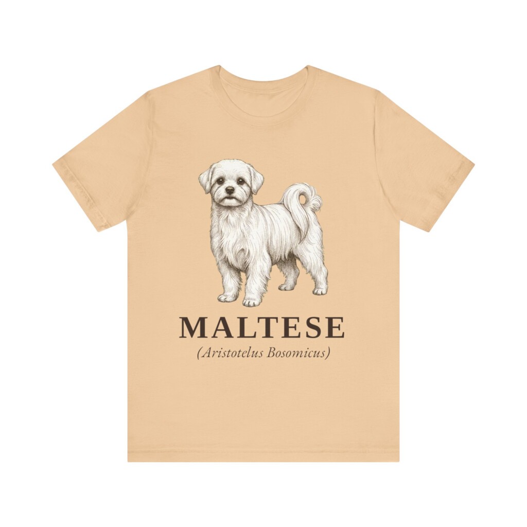 Maltese Latin Shirt, Vintage Dog Sketch Tee, Dog Latin Gift