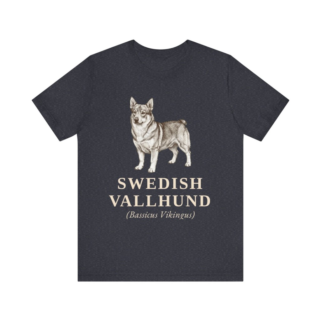 Swedish Vallhund Latin Shirt, Vintage Dog Sketch Tee, Dog Latin Gift Swedish Vallhund Latin Shirt, Vintage Dog Sketch Tee, Dog Latin Gift