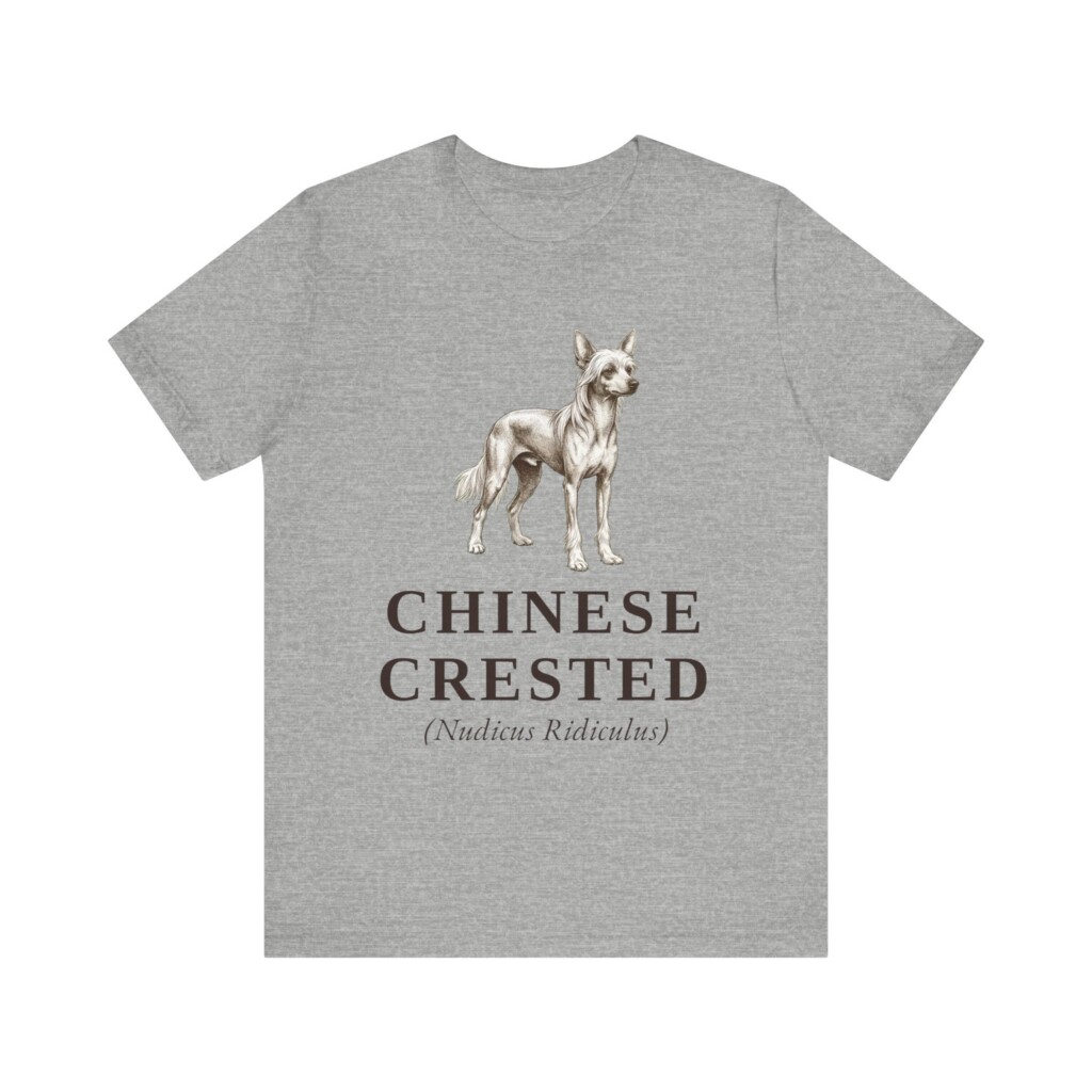 Chinese Crested Latin Shirt, Vintage Dog Sketch Tee, Dog Latin Gift