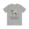 Bergamasco Sheepdog Latin Shirt, Vintage Dog Sketch Tee, Dog Latin Gift