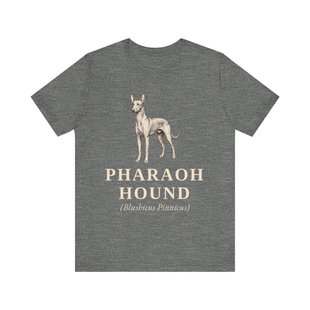 Pharaoh Hound Latin Shirt, Vintage Dog Sketch Tee, Dog Latin Gift