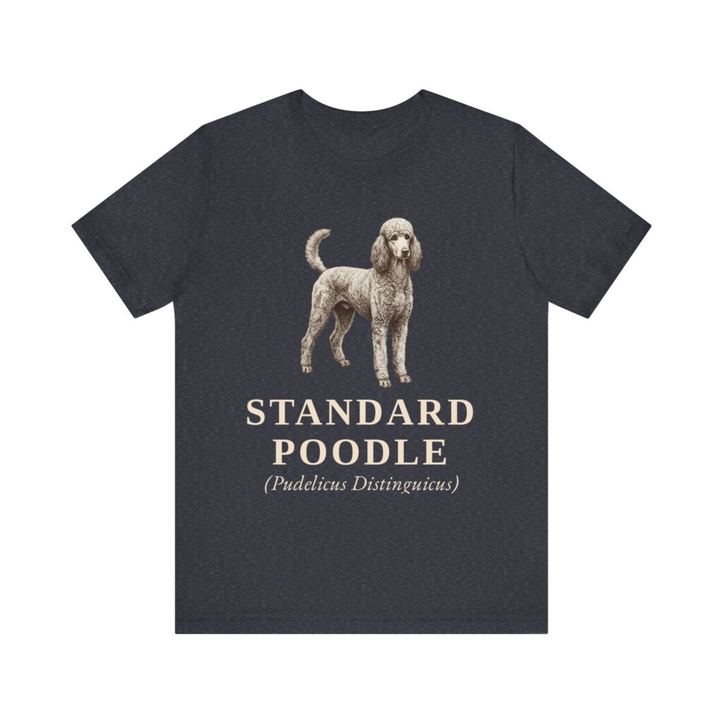 Standard Poodle Latin Shirt, Vintage Dog Sketch Tee, Dog Latin Gift