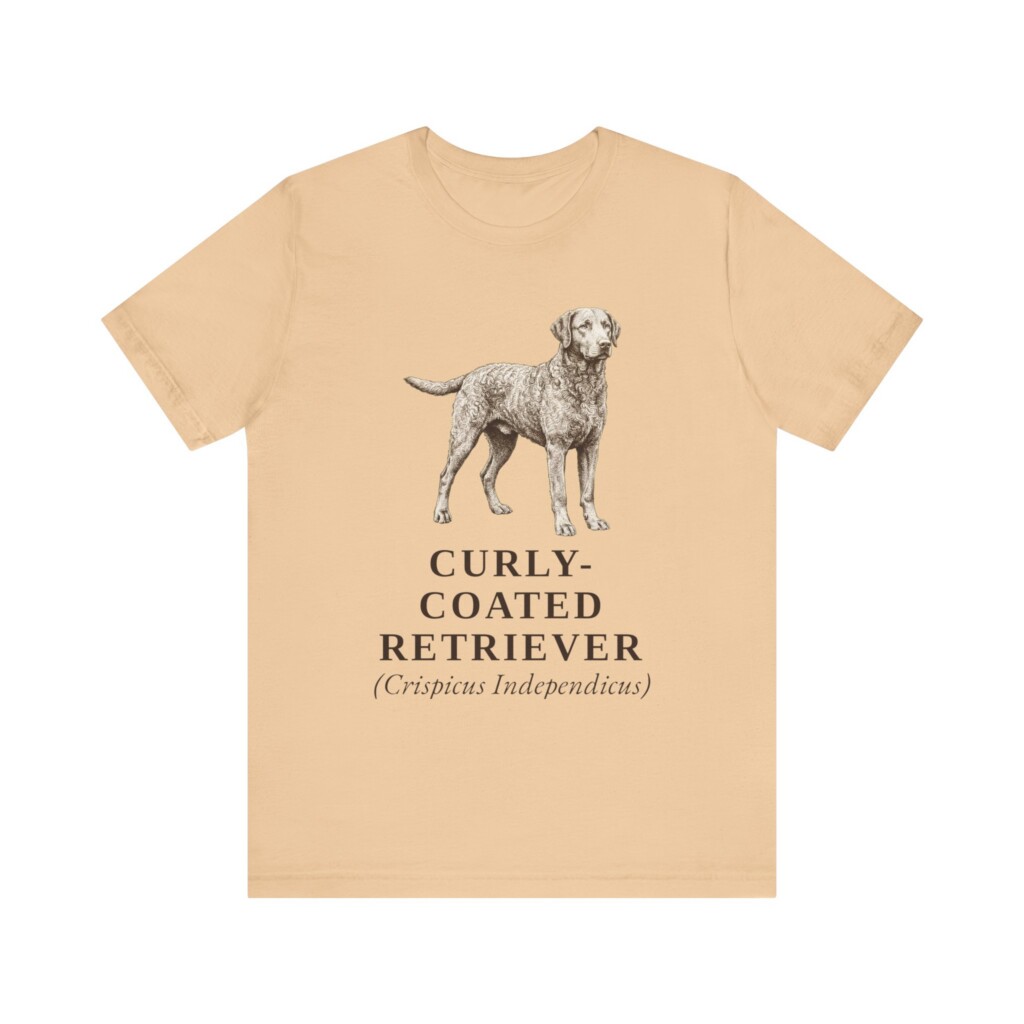 Curly-Coated Retriever Latin Shirt, Vintage Dog Sketch Tee, Dog Latin Gift Curly-Coated Retriever Latin Shirt, Vintage Dog Sketch Tee, Dog Latin Gift