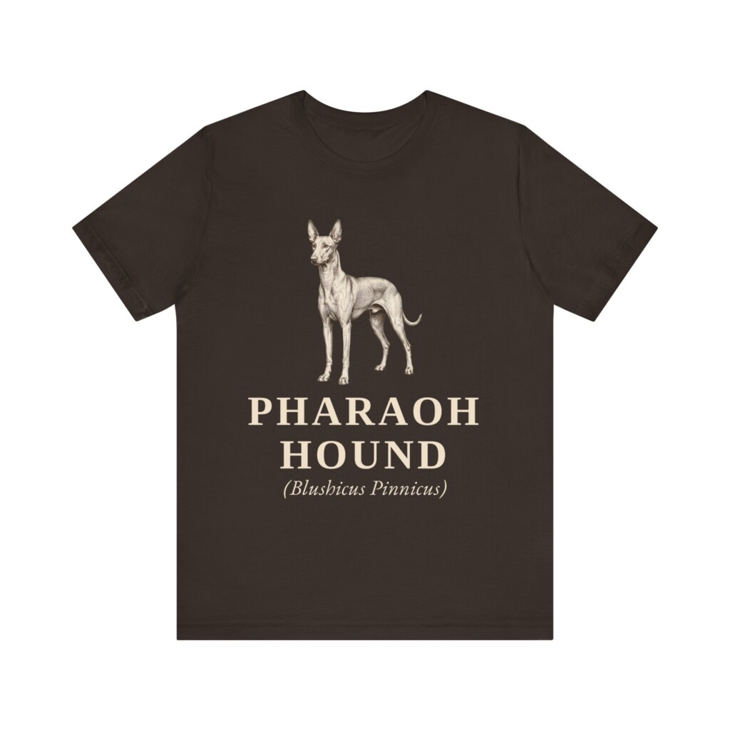 Pharaoh Hound Latin Shirt, Vintage Dog Sketch Tee, Dog Latin Gift