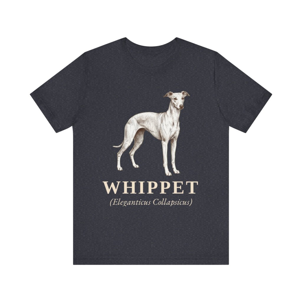 Whippet Latin Shirt, Vintage Dog Sketch Tee, Dog Latin Gift