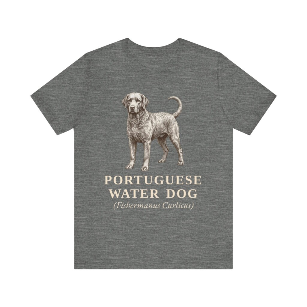 Portuguese Water Dog Latin Shirt, Vintage Dog Sketch Tee, Dog Latin Gift