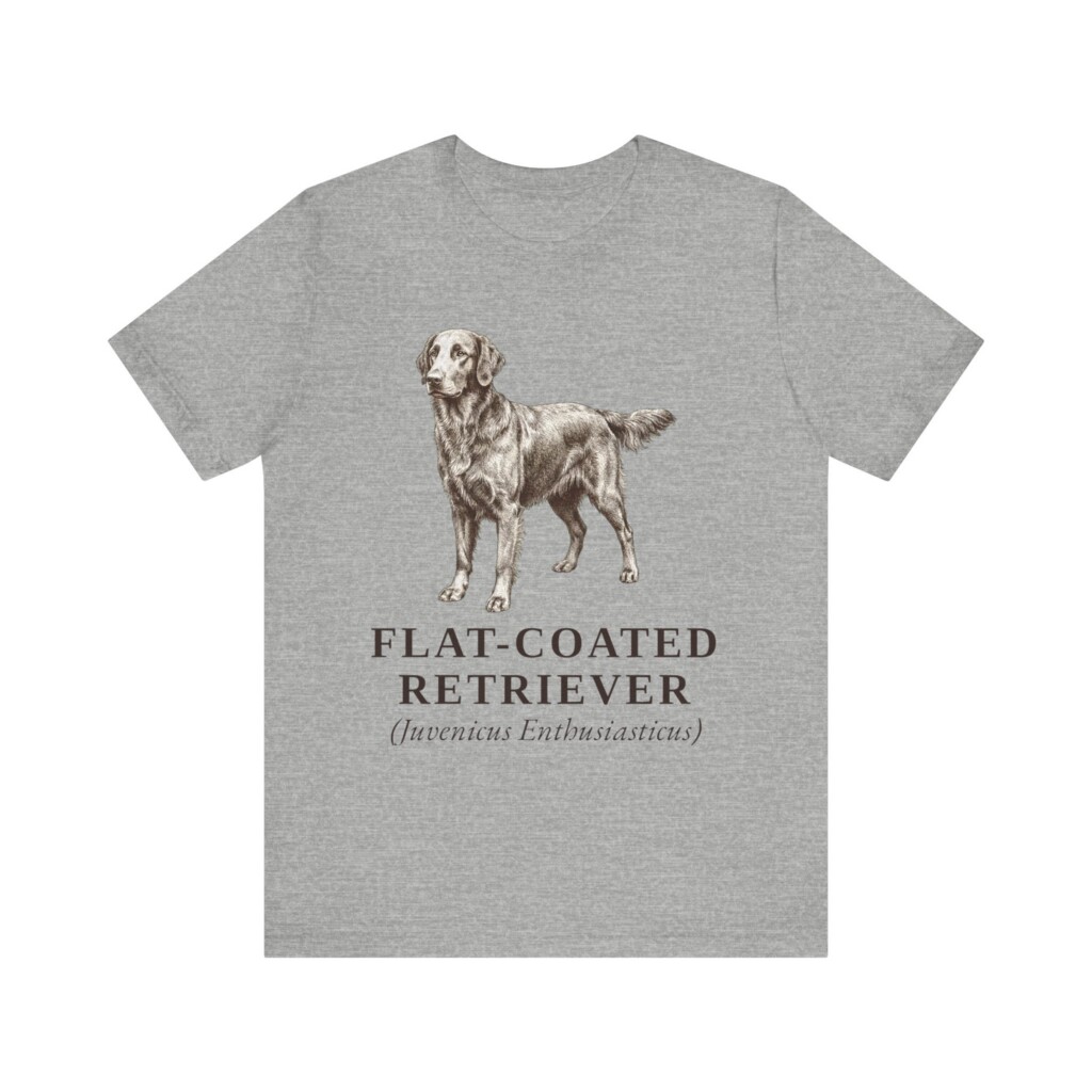 Flat-Coated Retriever Latin Shirt, Vintage Dog Sketch Tee, Dog Latin Gift