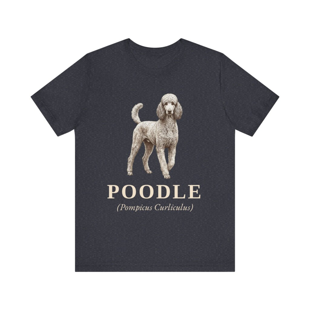 Poodle Latin Shirt, Vintage Dog Sketch Tee, Dog Latin Gift