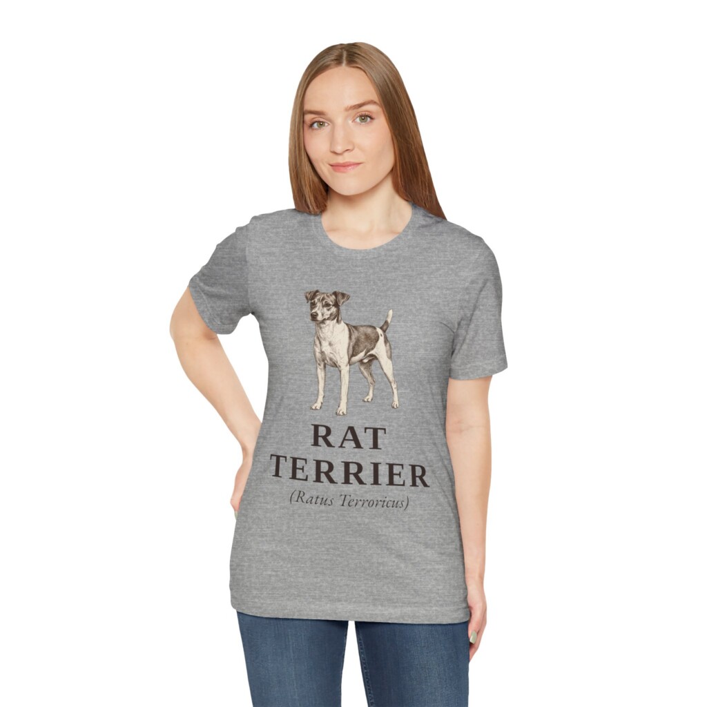 Rat Terrier Latin Shirt, Vintage Dog Sketch Tee, Dog Latin Gift Rat Terrier Latin Shirt, Vintage Dog Sketch Tee, Dog Latin Gift