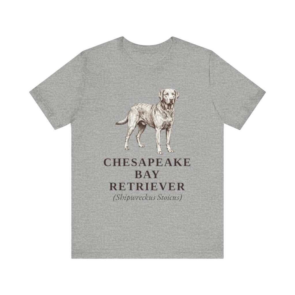 Chesapeake Bay Retriever Latin Shirt, Vintage Dog Sketch Tee, Dog Latin Gift Chesapeake Bay Retriever Latin Shirt, Vintage Dog Sketch Tee, Dog Latin Gift