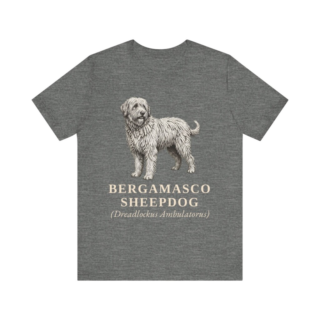 Bergamasco Sheepdog Latin Shirt, Vintage Dog Sketch Tee, Dog Latin Gift