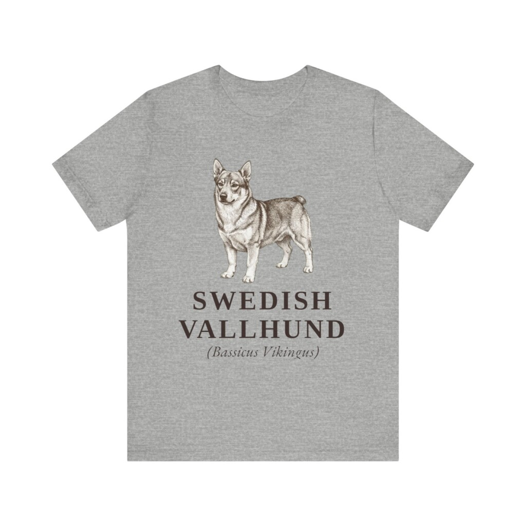 Swedish Vallhund Latin Shirt, Vintage Dog Sketch Tee, Dog Latin Gift Swedish Vallhund Latin Shirt, Vintage Dog Sketch Tee, Dog Latin Gift