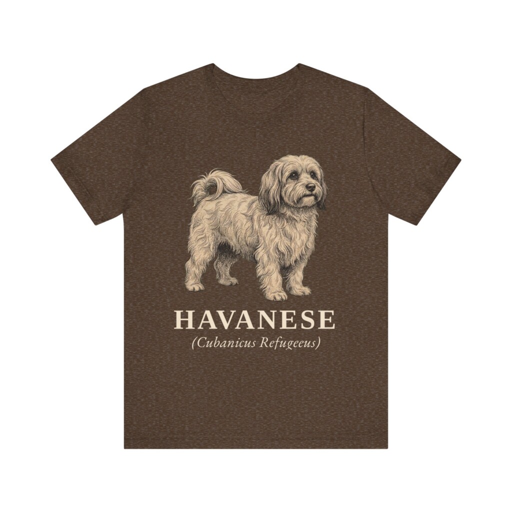Havanese Latin Shirt, Vintage Dog Sketch Tee, Dog Latin Gift Havanese Latin Shirt, Vintage Dog Sketch Tee, Dog Latin Gift