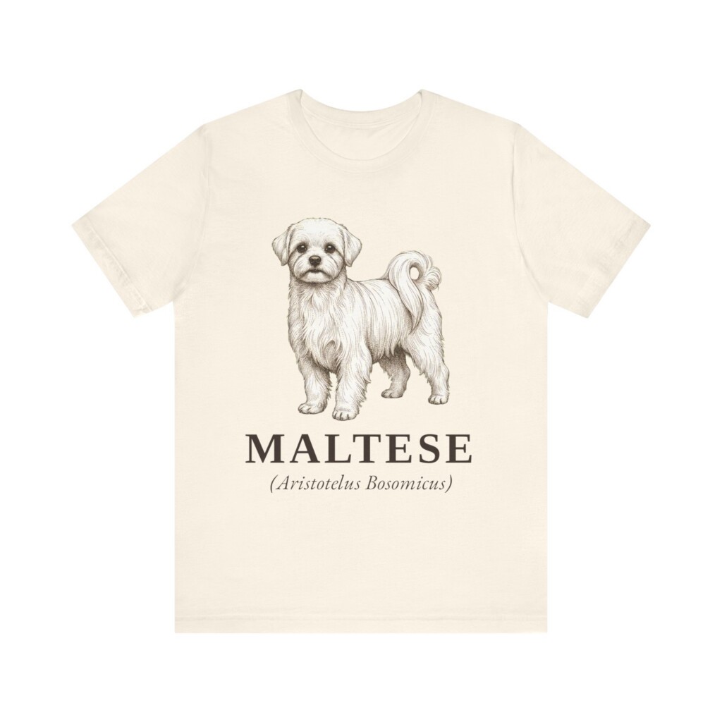 Maltese Latin Shirt, Vintage Dog Sketch Tee, Dog Latin Gift