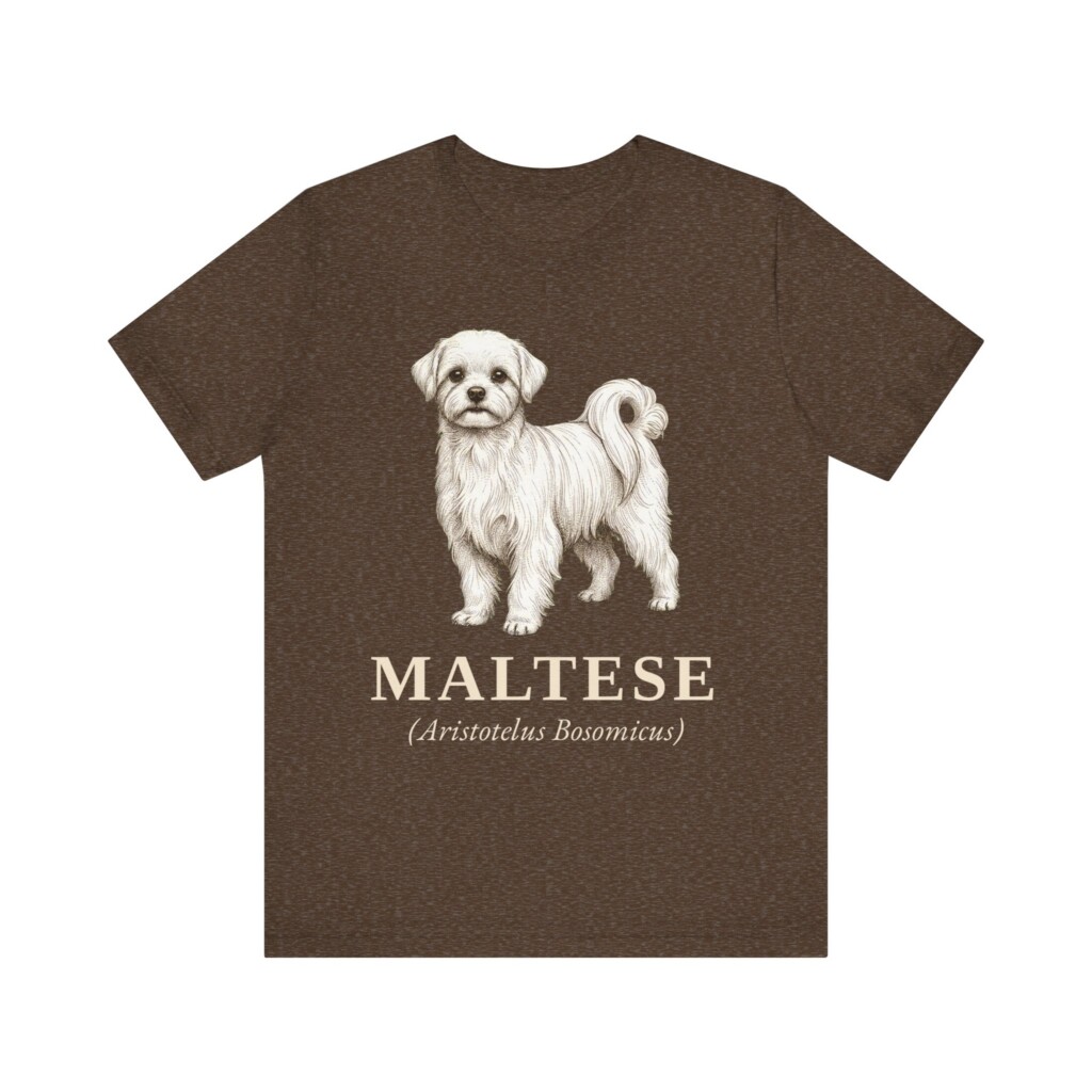 Maltese Latin Shirt, Vintage Dog Sketch Tee, Dog Latin Gift