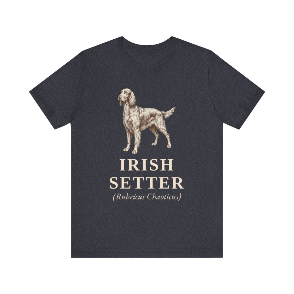 Irish Setter Latin Shirt, Vintage Dog Sketch Tee, Dog Latin Gift