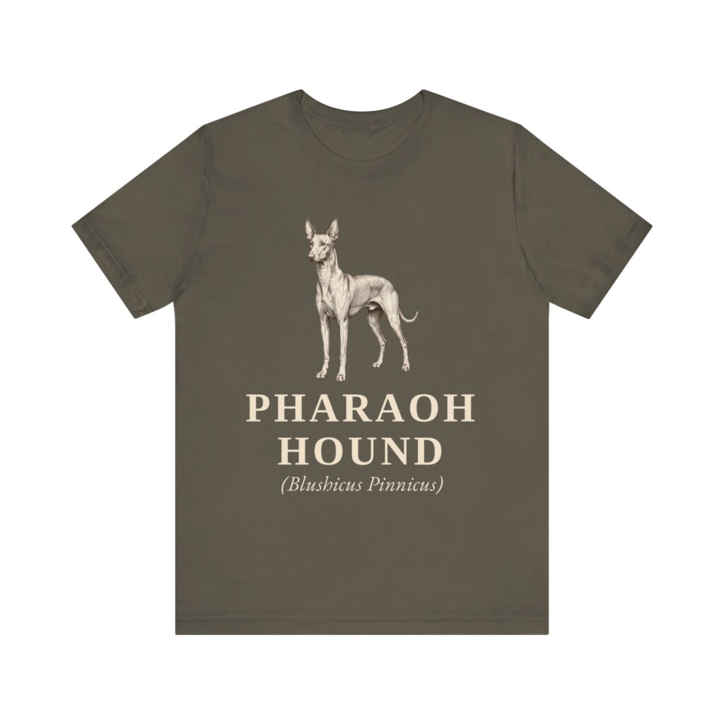 Pharaoh Hound Latin Shirt, Vintage Dog Sketch Tee, Dog Latin Gift