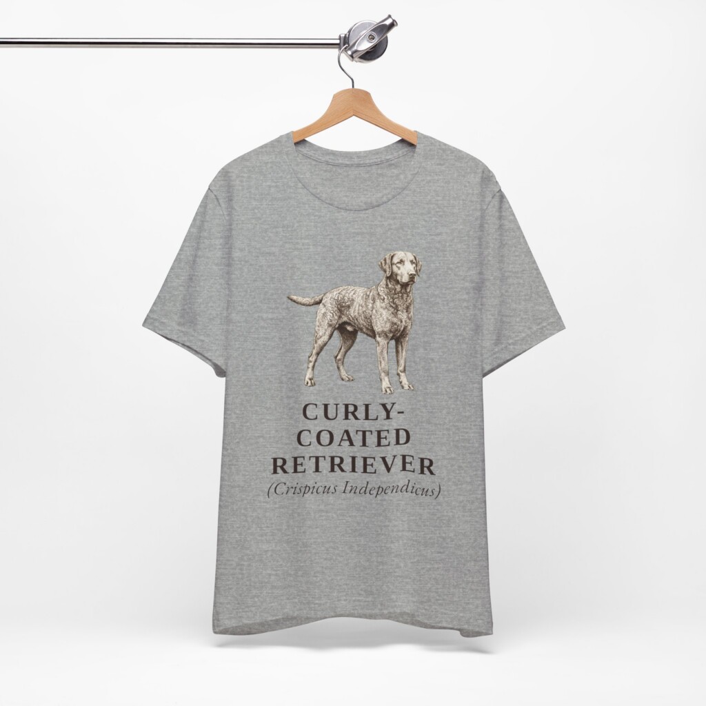 Curly-Coated Retriever Latin Shirt, Vintage Dog Sketch Tee, Dog Latin Gift Curly-Coated Retriever Latin Shirt, Vintage Dog Sketch Tee, Dog Latin Gift