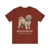 Havanese Latin Shirt, Vintage Dog Sketch Tee, Dog Latin Gift Havanese Latin Shirt, Vintage Dog Sketch Tee, Dog Latin Gift