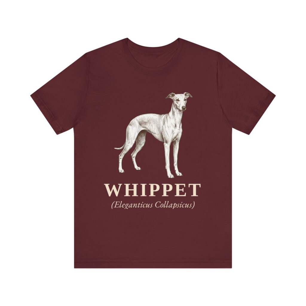 Whippet Latin Shirt, Vintage Dog Sketch Tee, Dog Latin Gift