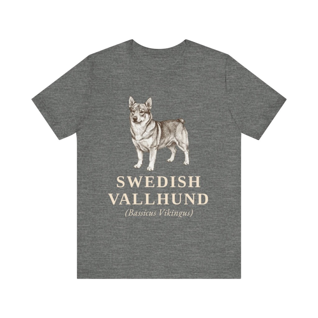 Swedish Vallhund Latin Shirt, Vintage Dog Sketch Tee, Dog Latin Gift Swedish Vallhund Latin Shirt, Vintage Dog Sketch Tee, Dog Latin Gift