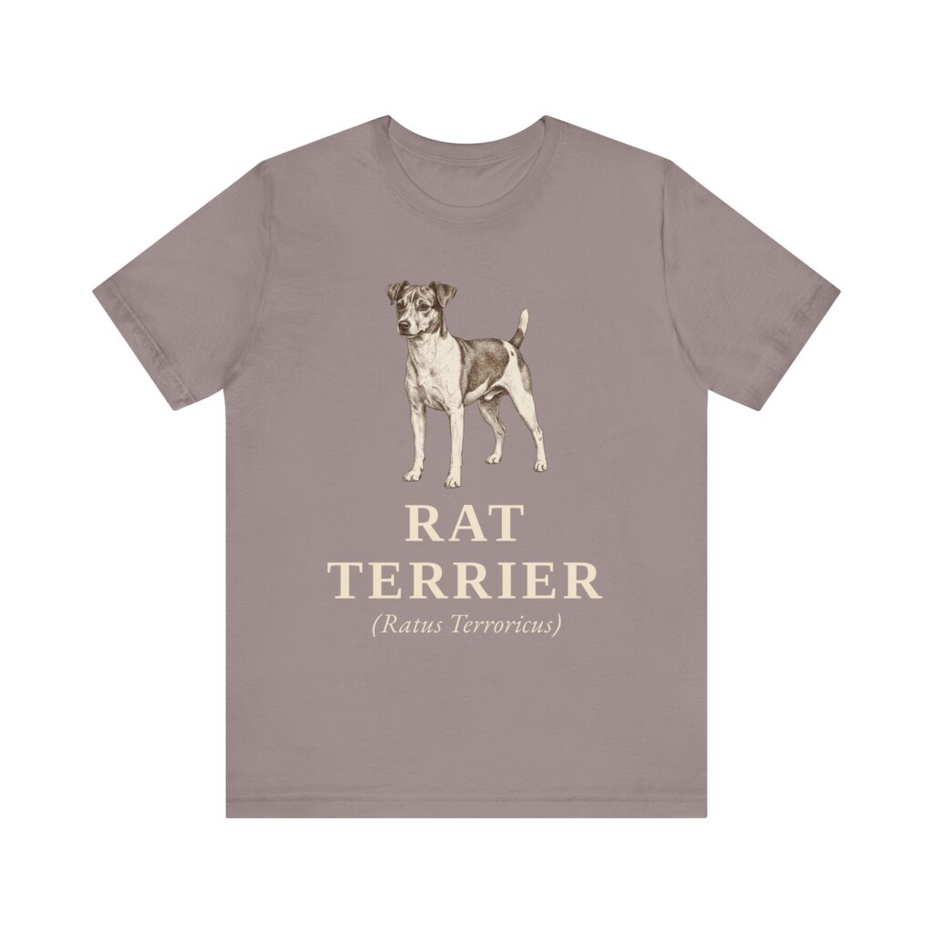 Rat Terrier Latin Shirt, Vintage Dog Sketch Tee, Dog Latin Gift Rat Terrier Latin Shirt, Vintage Dog Sketch Tee, Dog Latin Gift
