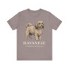 Havanese Latin Shirt, Vintage Dog Sketch Tee, Dog Latin Gift Havanese Latin Shirt, Vintage Dog Sketch Tee, Dog Latin Gift