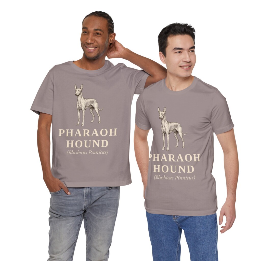 Pharaoh Hound Latin Shirt, Vintage Dog Sketch Tee, Dog Latin Gift