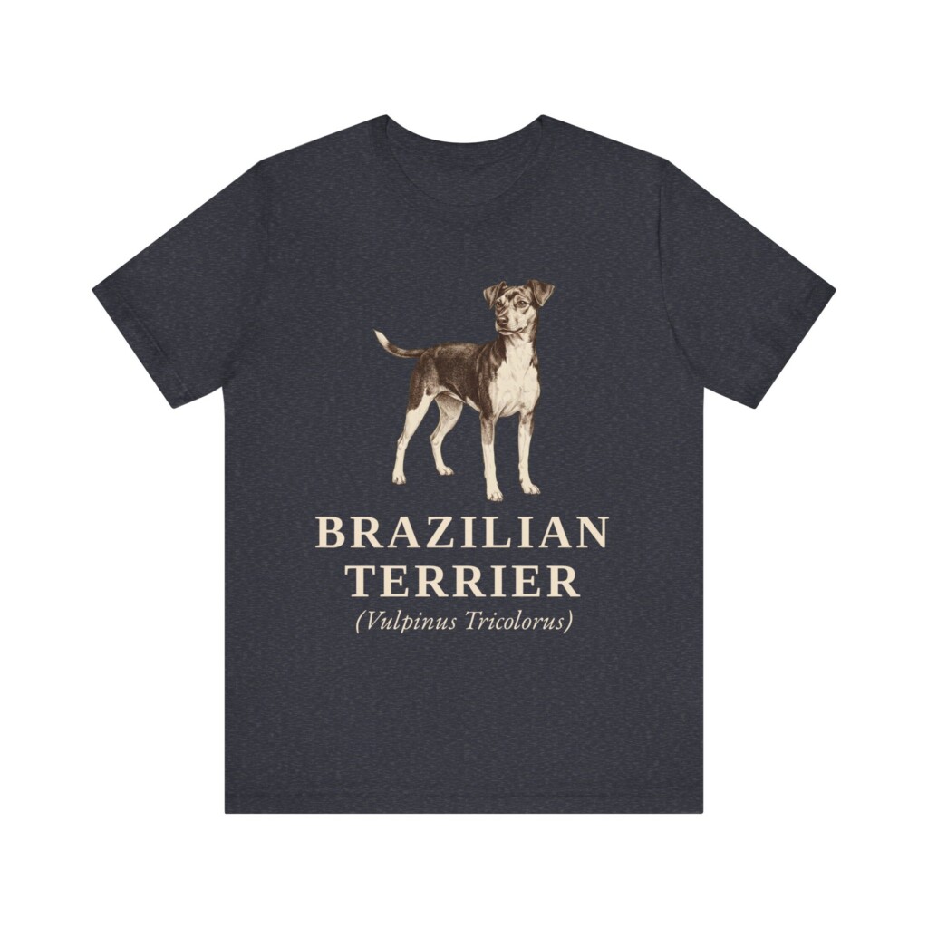 Brazilian Terrier Latin Shirt, Vintage Dog Sketch Tee, Dog Latin Gift