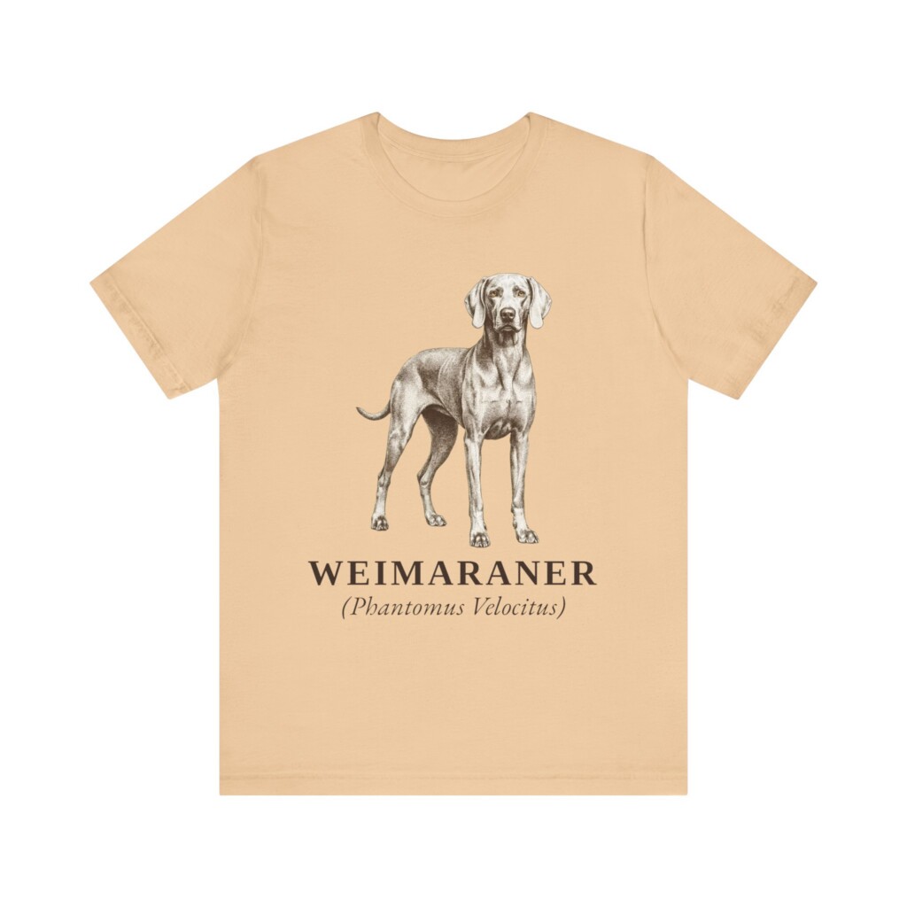 Weimaraner Latin Shirt, Vintage Dog Sketch Tee, Dog Latin Gift