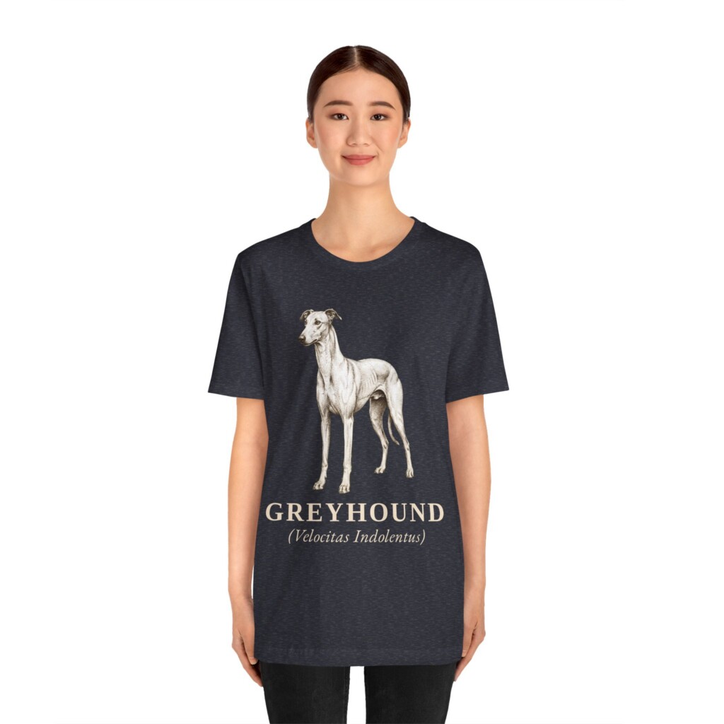 Greyhound Latin Shirt, Vintage Dog Sketch Tee, Dog Latin Gift