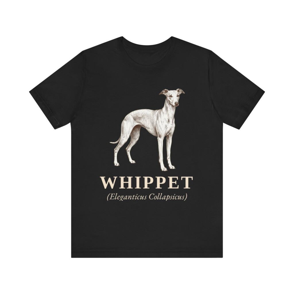 Whippet Latin Shirt, Vintage Dog Sketch Tee, Dog Latin Gift