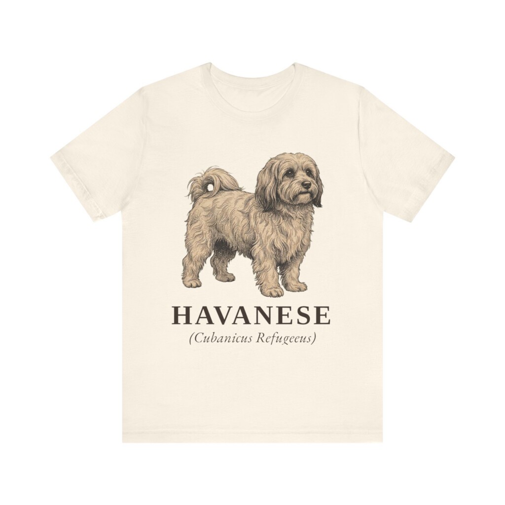 Havanese Latin Shirt, Vintage Dog Sketch Tee, Dog Latin Gift Havanese Latin Shirt, Vintage Dog Sketch Tee, Dog Latin Gift