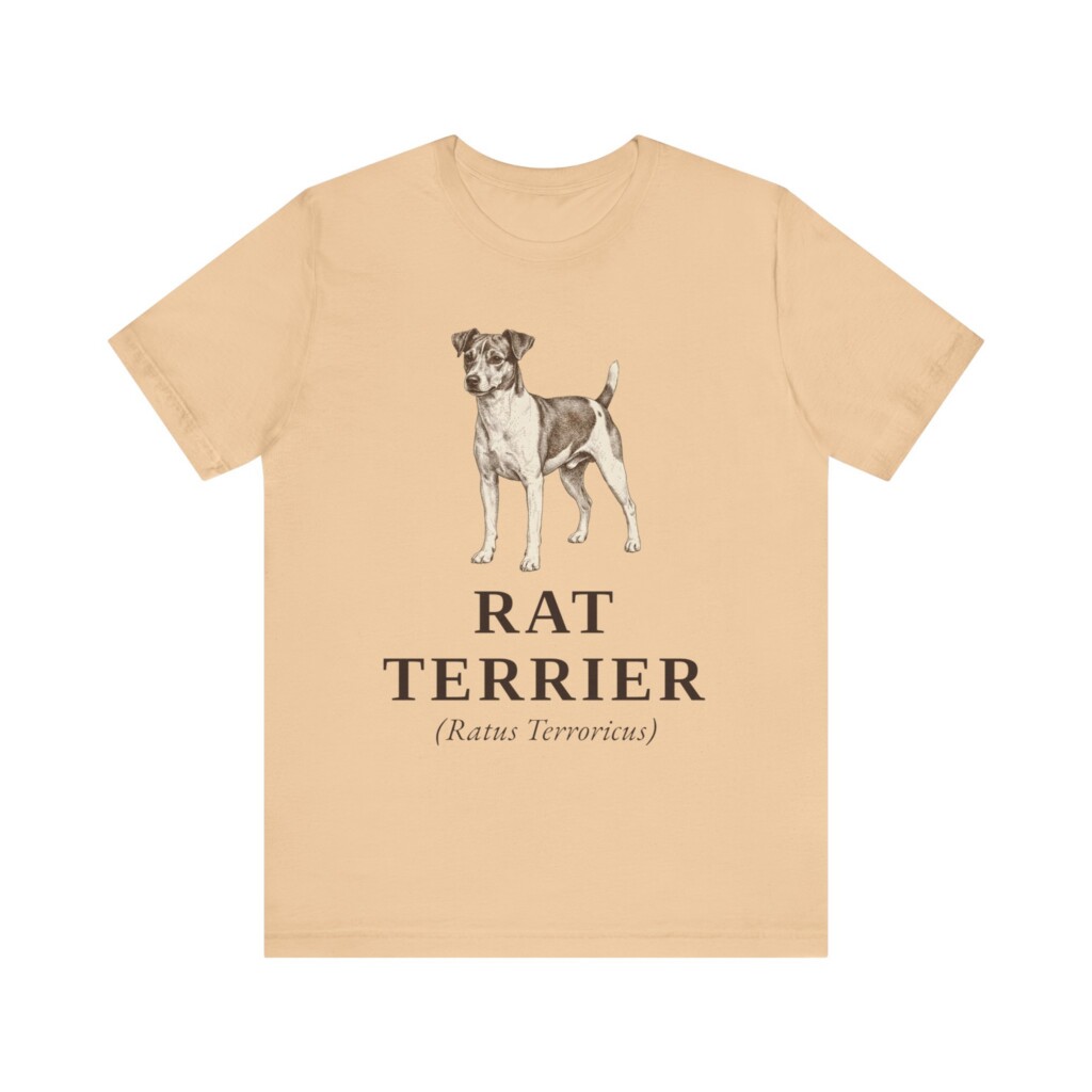 Rat Terrier Latin Shirt, Vintage Dog Sketch Tee, Dog Latin Gift Rat Terrier Latin Shirt, Vintage Dog Sketch Tee, Dog Latin Gift
