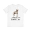 Anatolian Shepherd Latin Shirt, Vintage Dog Sketch Tee, Dog Latin Gift
