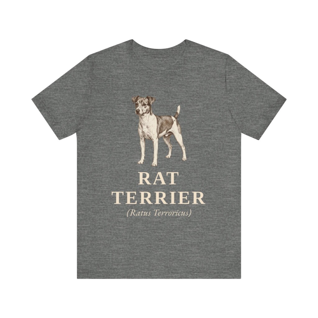 Rat Terrier Latin Shirt, Vintage Dog Sketch Tee, Dog Latin Gift Rat Terrier Latin Shirt, Vintage Dog Sketch Tee, Dog Latin Gift