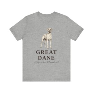Great Dane Latin Shirt, Vintage Dog Sketch Tee, Dog Latin Gift