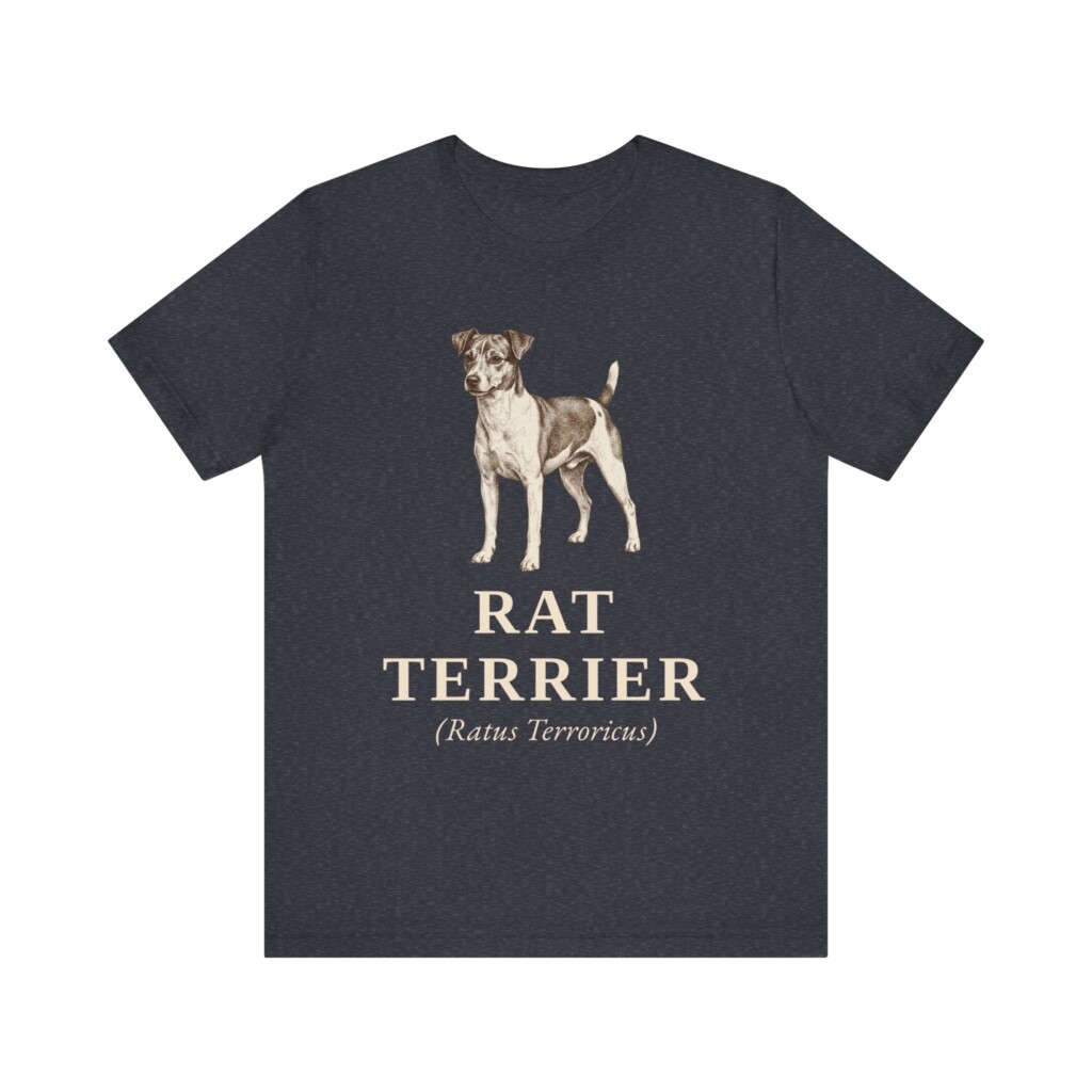 Rat Terrier Latin Shirt, Vintage Dog Sketch Tee, Dog Latin Gift Rat Terrier Latin Shirt, Vintage Dog Sketch Tee, Dog Latin Gift
