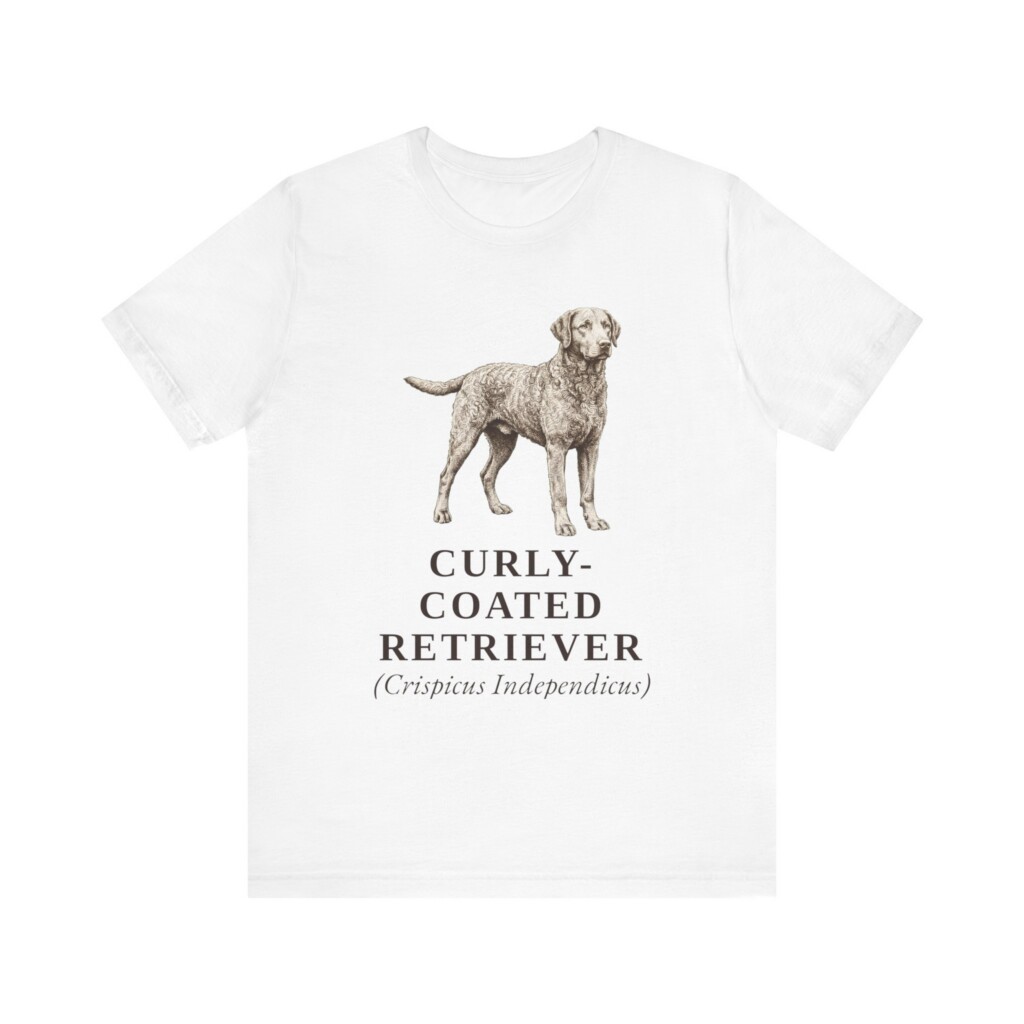 Curly-Coated Retriever Latin Shirt, Vintage Dog Sketch Tee, Dog Latin Gift Curly-Coated Retriever Latin Shirt, Vintage Dog Sketch Tee, Dog Latin Gift