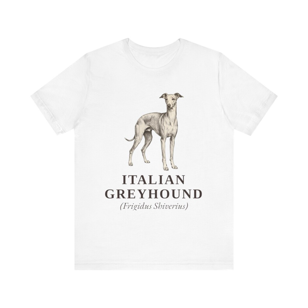 Italian Greyhound Latin Shirt, Vintage Dog Sketch Tee, Dog Latin Gift