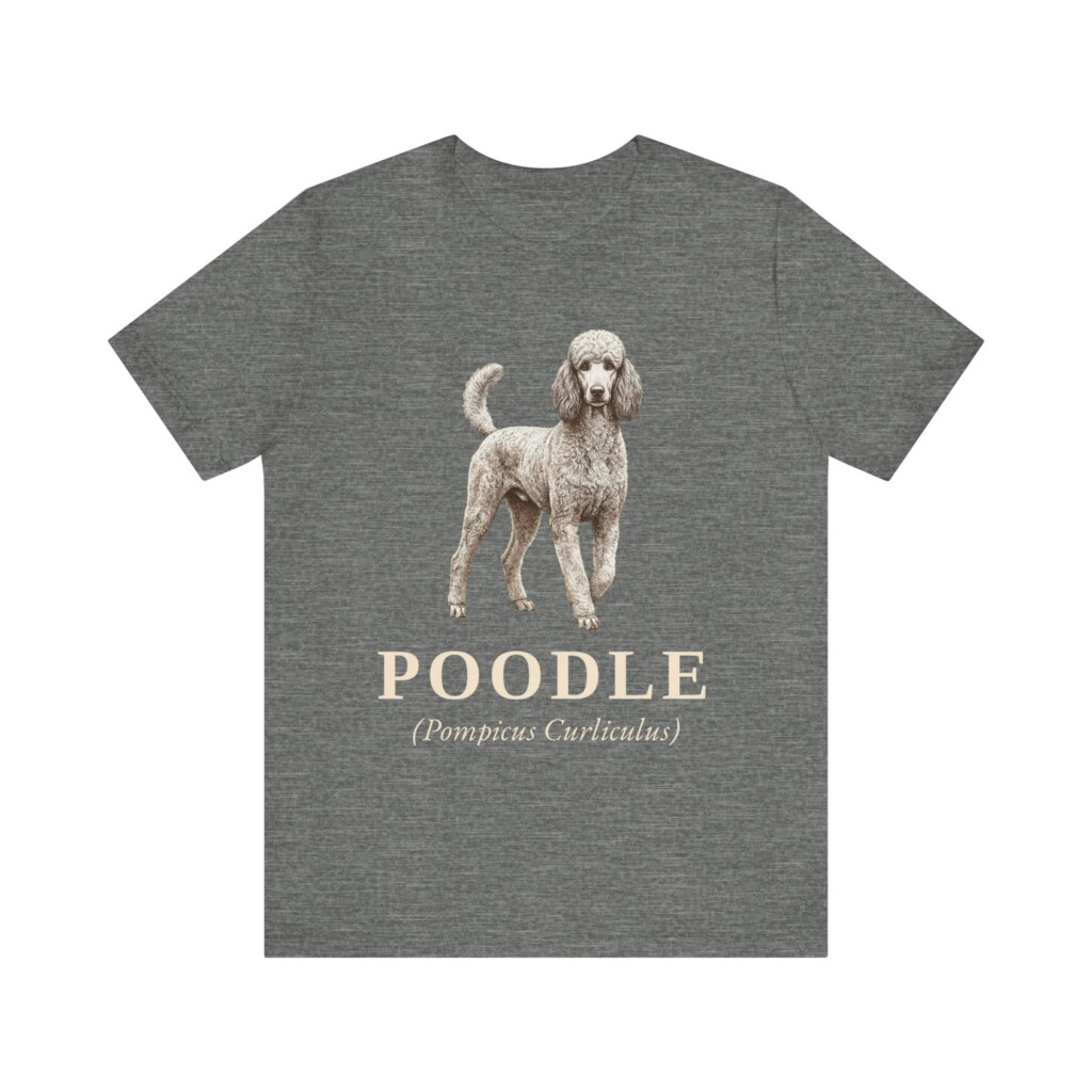 Poodle Latin Shirt, Vintage Dog Sketch Tee, Dog Latin Gift