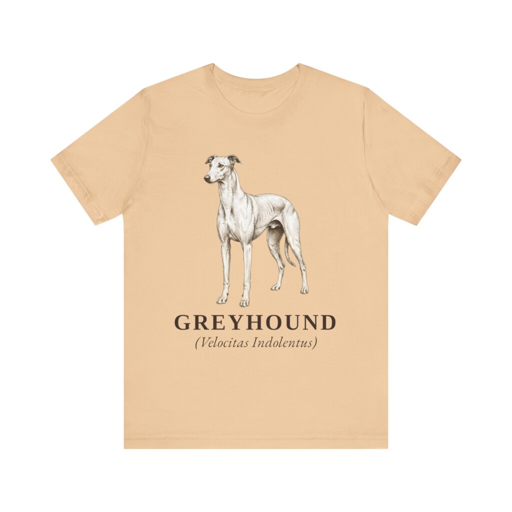 Greyhound Latin Shirt, Vintage Dog Sketch Tee, Dog Latin Gift