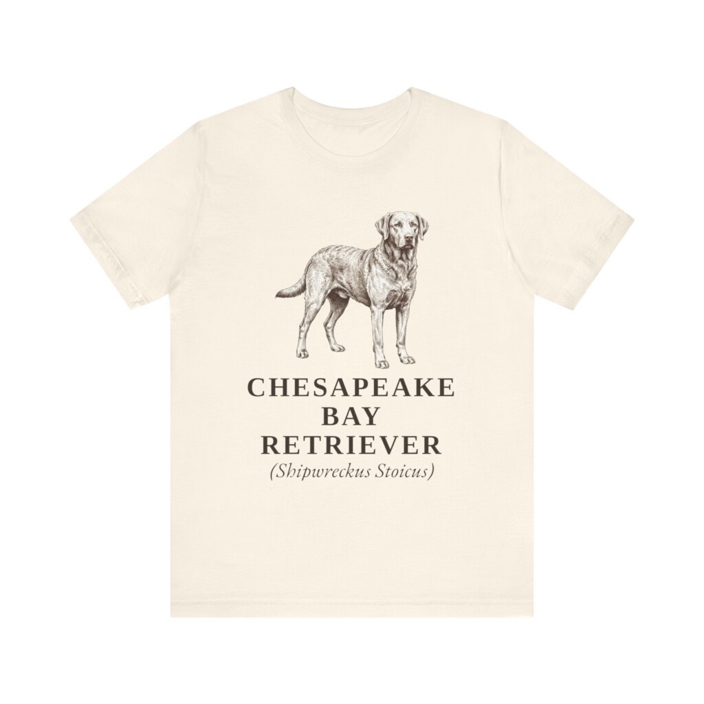 Chesapeake Bay Retriever Latin Shirt, Vintage Dog Sketch Tee, Dog Latin Gift Chesapeake Bay Retriever Latin Shirt, Vintage Dog Sketch Tee, Dog Latin Gift