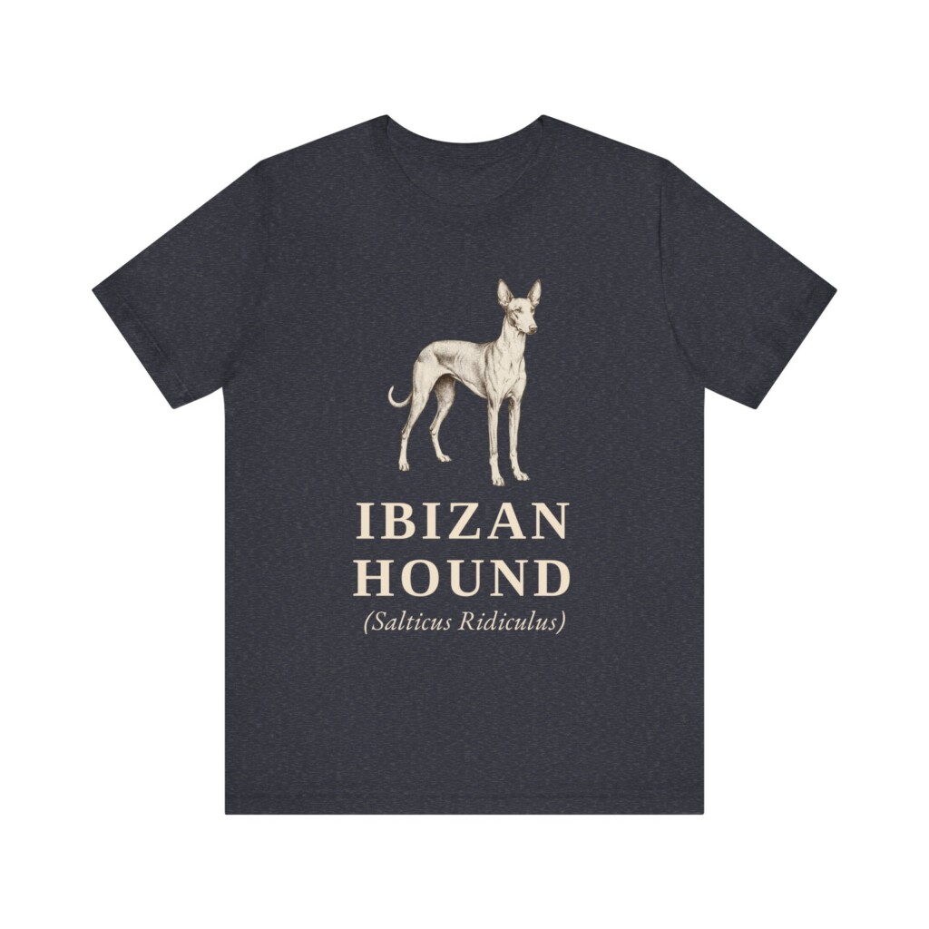 Ibizan Hound Latin Shirt, Vintage Dog Sketch Tee, Dog Latin Gift Ibizan Hound Latin Shirt, Vintage Dog Sketch Tee, Dog Latin Gift