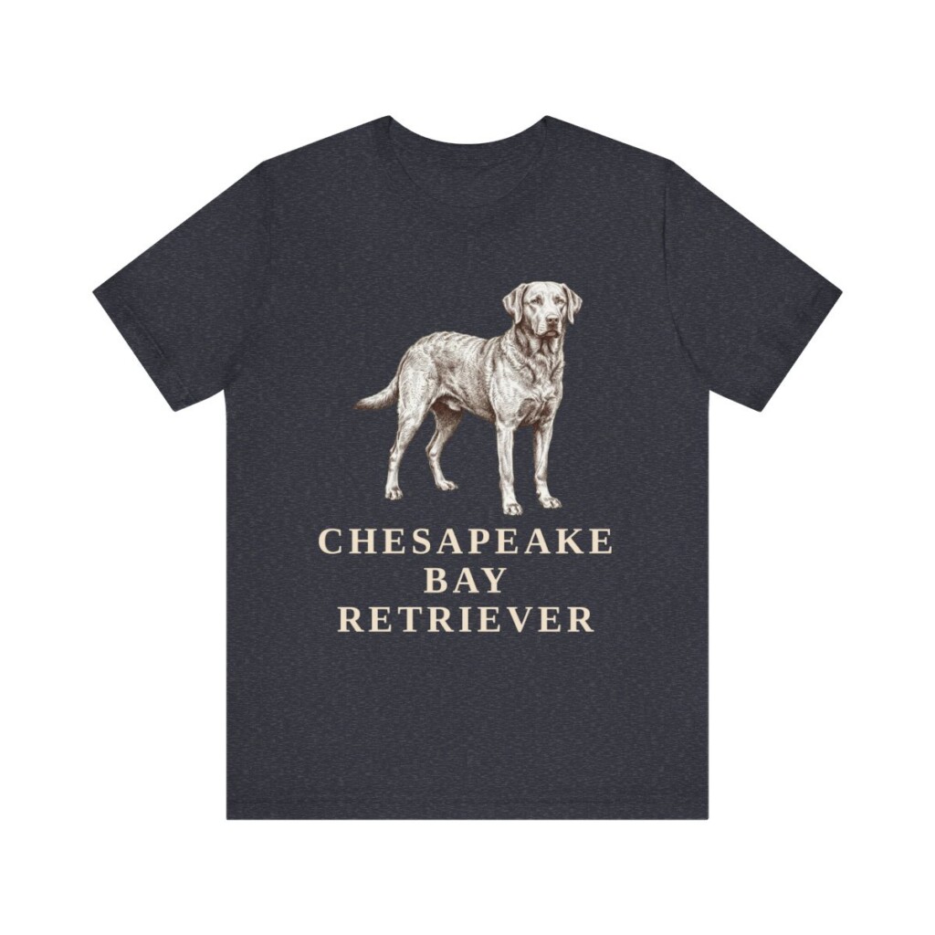 Chesapeake Bay Retriever Lover Shirt, Vintage Dog Sketch Tee, Dog Lover Gift