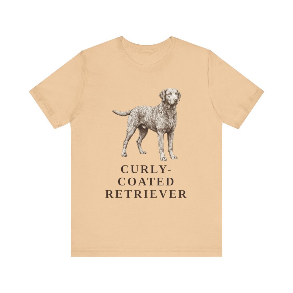 Curly-Coated Retriever Lover Shirt, Vintage Dog Sketch Tee, Dog Lover Gift