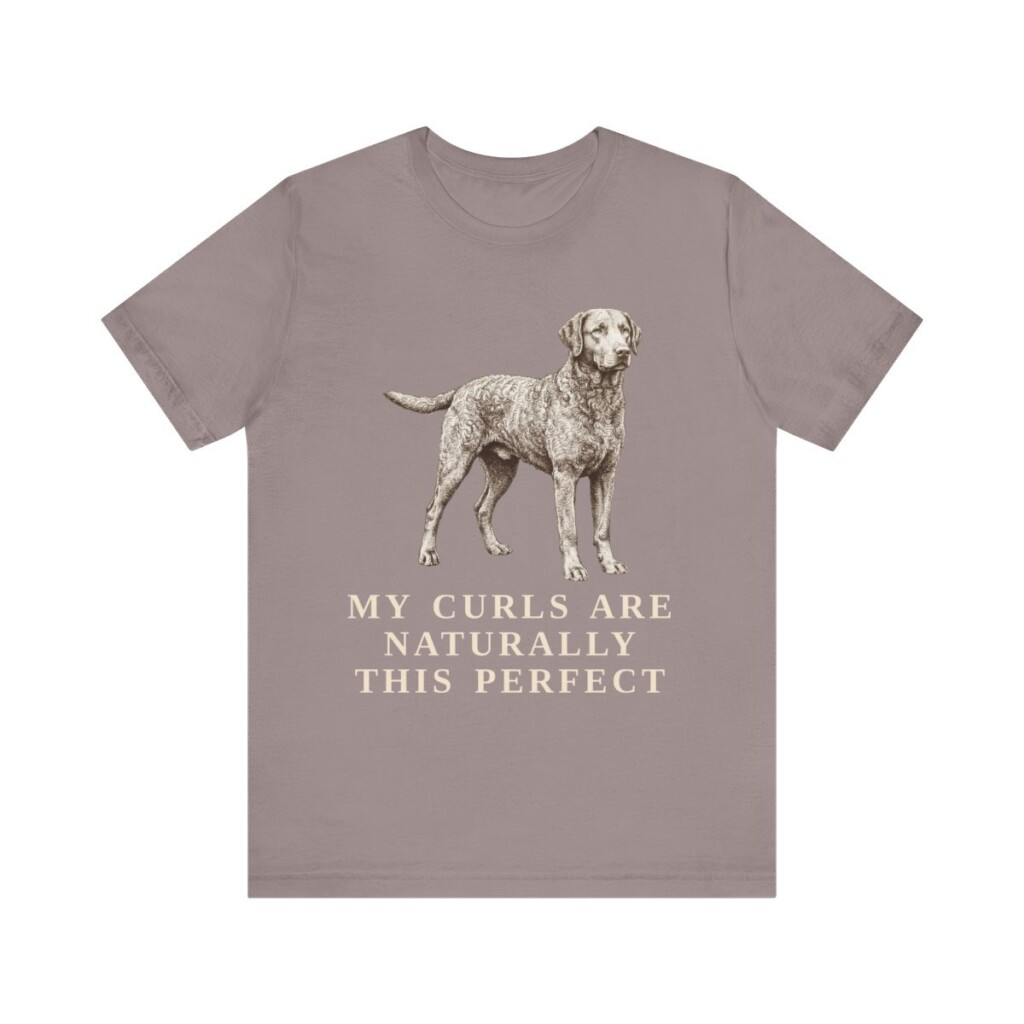 Curly-Coated Retriever Humor Shirt, Vintage Dog Sketch Tee, Dog Humor Gift