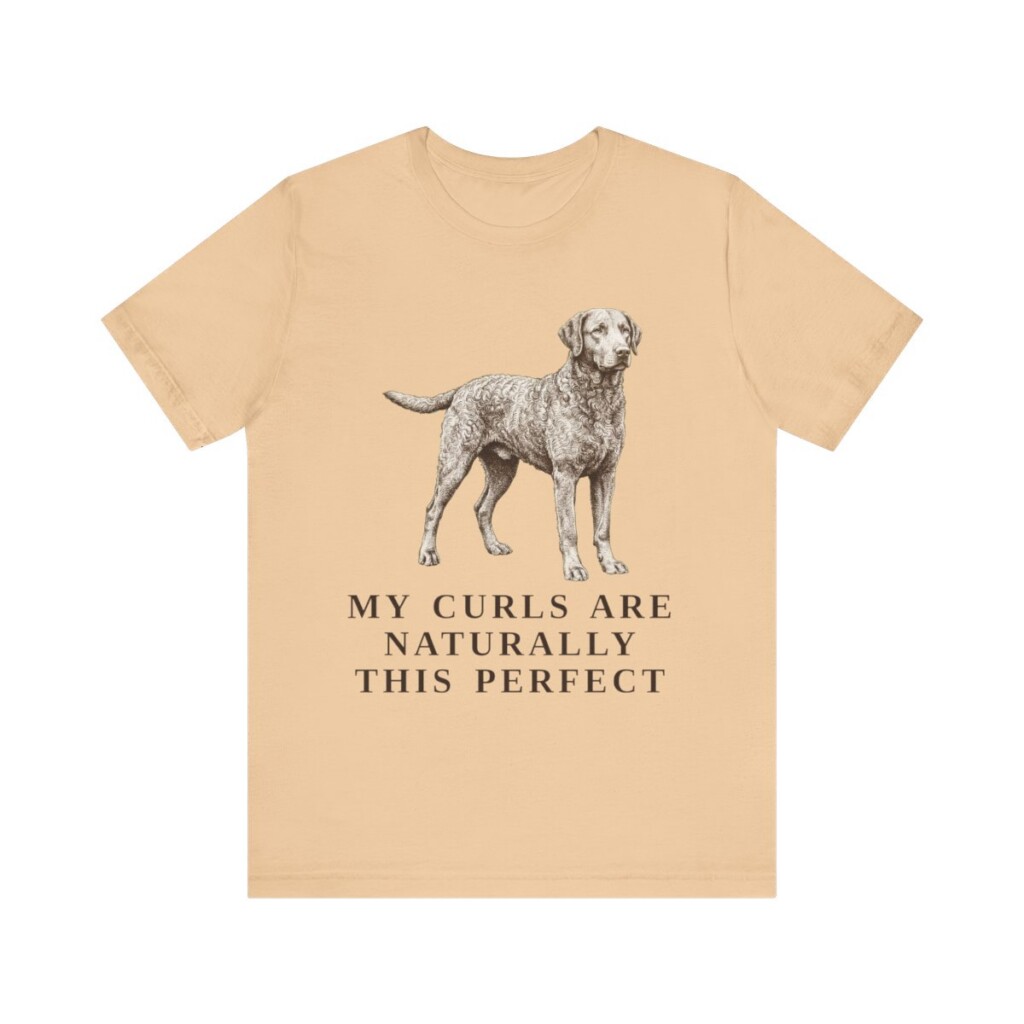 Curly-Coated Retriever Humor Shirt, Vintage Dog Sketch Tee, Dog Humor Gift