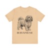 Havanese Lover Shirt, Vintage Dog Sketch Tee, Dog Lover Gift