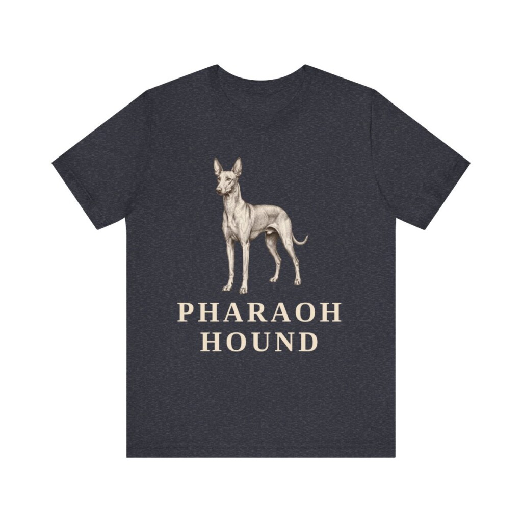 Pharaoh Hound Lover Shirt, Vintage Dog Sketch Tee, Dog Lover Gift